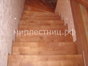 № 42 к.32   Сращенные березовые ступени. 