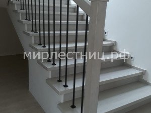 № 238 к.2.     Классическая лестница. Металлическое ограждение. 