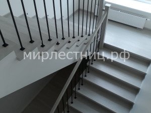 № 238 к.8.      Классическая лестница. Металлическое ограждение. 