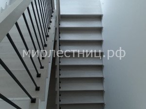 № 238 к.7.      Классическая лестница. Металлическое ограждение. 