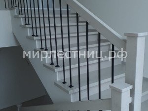 № 238 к.4.      Классическая лестница. Металлическое ограждение. 