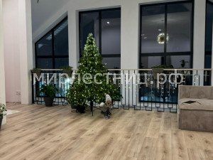 № 240 к.8.    Второй свет.